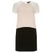 Dorothy Perkins Colour Block Shift Dress