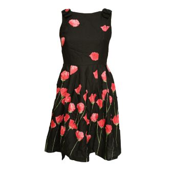 Dorothy Perkins Poppy Print A-Line Dress